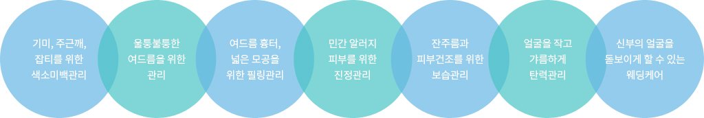 기미,주근깨 잡티를 위한 색소미백관리 / 울퉁불퉁한 여드름을 위한 관리 / 여드름 흉터, 넓은 모공을 위한 필링관리 / 민간 알러지 피부를 위한 진정관리 / 잔주름과 피부건조를 위한 보습관리 / 얼굴을 작고 갸름하게 탄력관리 / 신부의 얼굴을 돋보이게 할 수 있는 웨딩케어